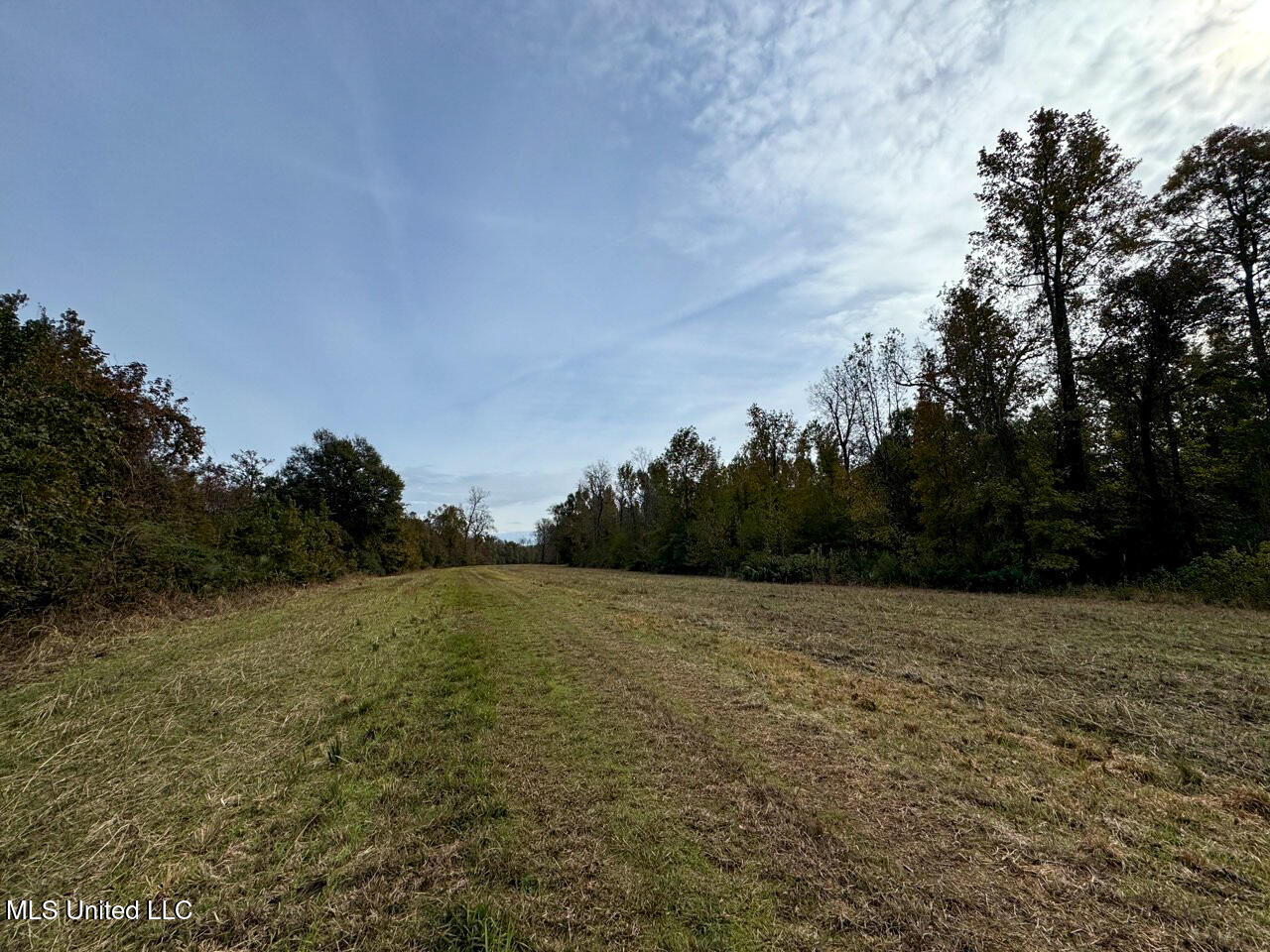 298 Crescent Rd Street Waterproof, LA 71375 - Photo 34 of 47 IMG_2854 Large