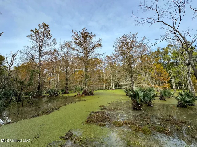 $2,990,000 | 298 Crescent Rd Street, Waterproof, LA 71375