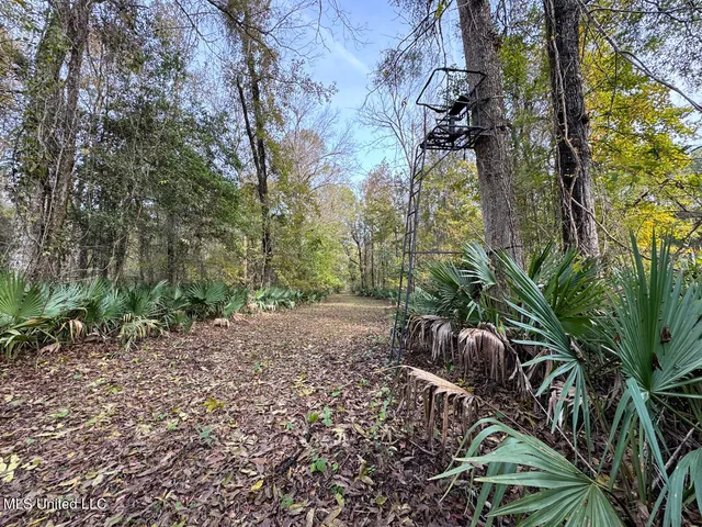 $2,990,000 | 298 Crescent Rd Street, Waterproof, LA 71375