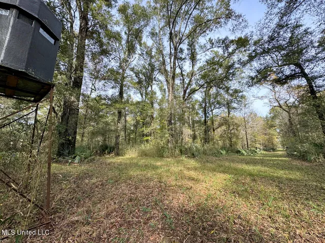 $2,990,000 | 298 Crescent Rd Street, Waterproof, LA 71375