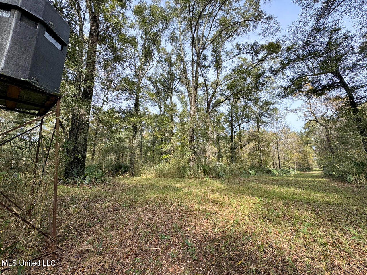 298 Crescent Rd Street Waterproof, LA 71375 - Photo 38 of 47 IMG_2860 Large