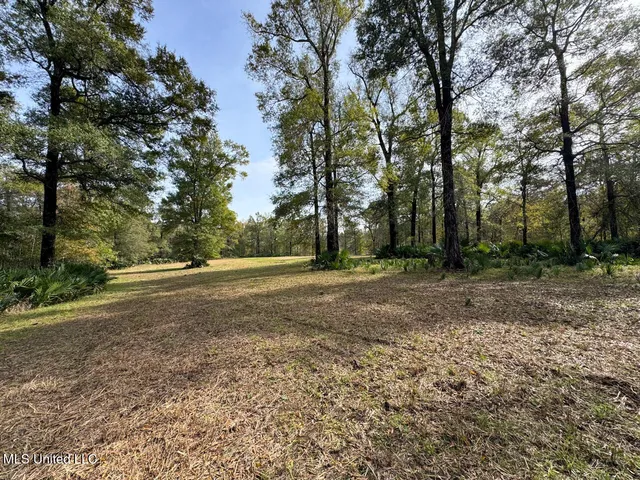 $2,990,000 | 298 Crescent Rd Street, Waterproof, LA 71375