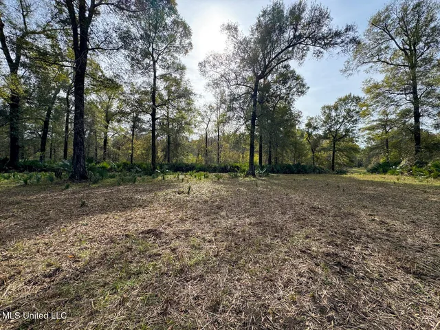 $2,990,000 | 298 Crescent Rd Street, Waterproof, LA 71375