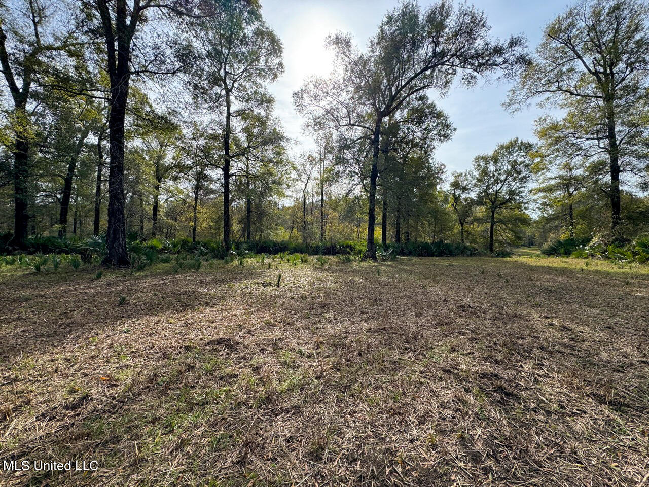 298 Crescent Rd Street Waterproof, LA 71375 - Photo 40 of 47 IMG_2863 Large