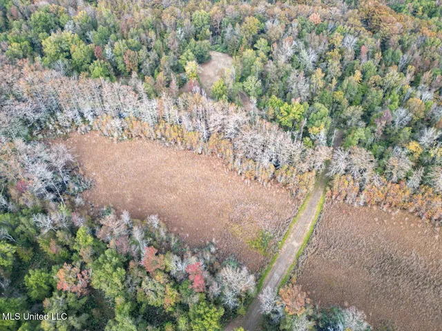 $2,990,000 | 298 Crescent Rd Street, Waterproof, LA 71375