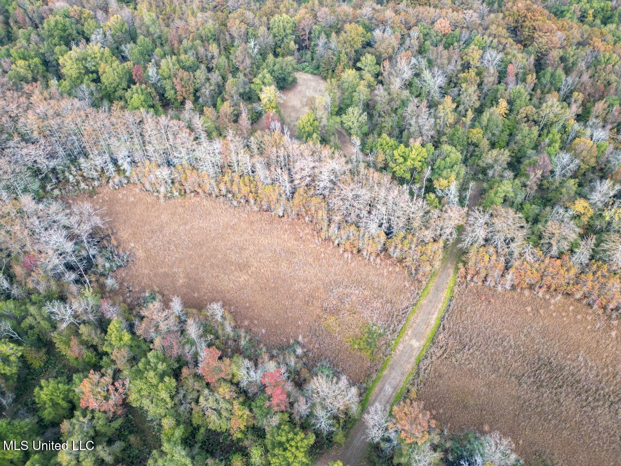 298 Crescent Rd Street Waterproof, LA 71375 - Photo 4 of 47 DJI_0821 Large