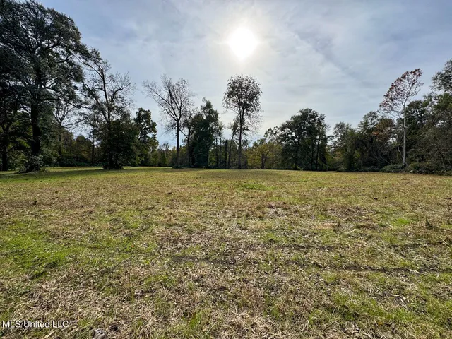 $2,990,000 | 298 Crescent Rd Street, Waterproof, LA 71375