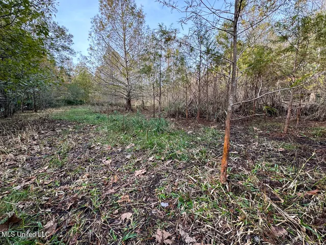 $2,990,000 | 298 Crescent Rd Street, Waterproof, LA 71375