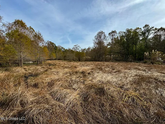 $2,990,000 | 298 Crescent Rd Street, Waterproof, LA 71375