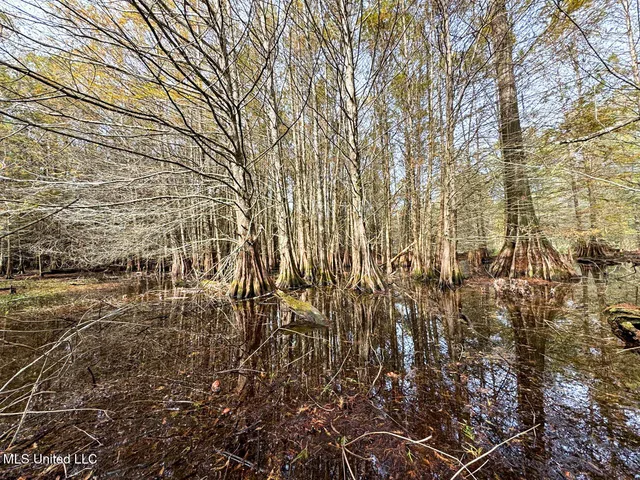 $2,990,000 | 298 Crescent Rd Street, Waterproof, LA 71375