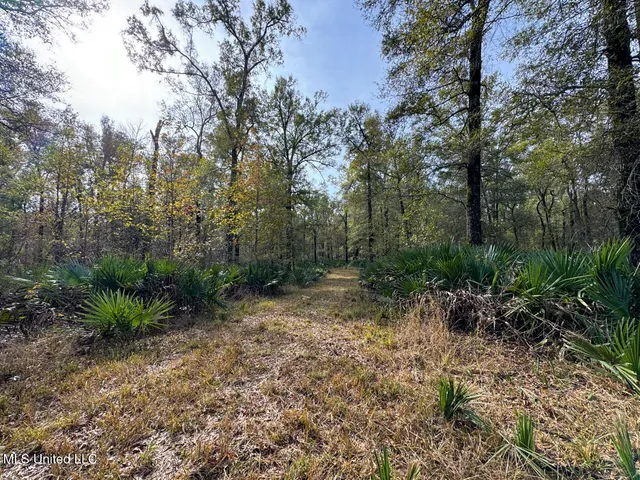 $2,990,000 | 298 Crescent Rd Street, Waterproof, LA 71375