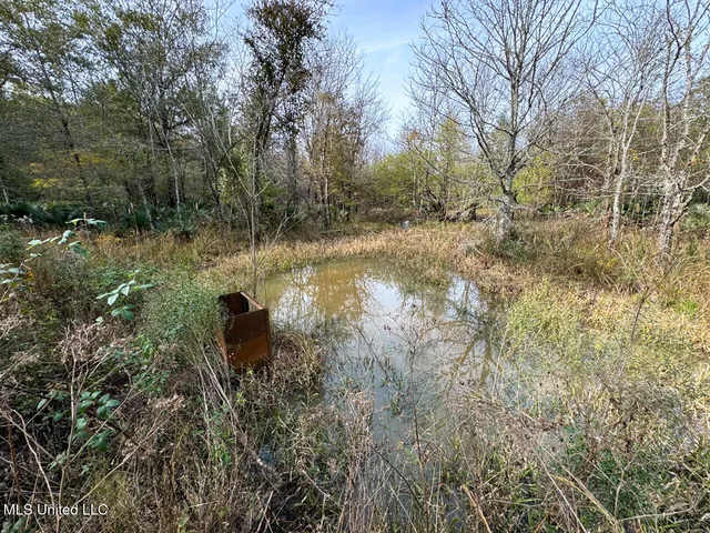 $2,990,000 | 298 Crescent Rd Street, Waterproof, LA 71375