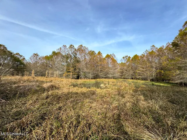 $2,990,000 | 298 Crescent Rd Street, Waterproof, LA 71375