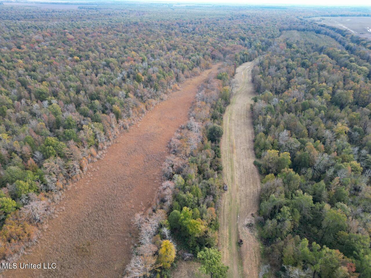 298 Crescent Rd Street Waterproof, LA 71375 - Photo 5 of 47 DJI_0822 Large
