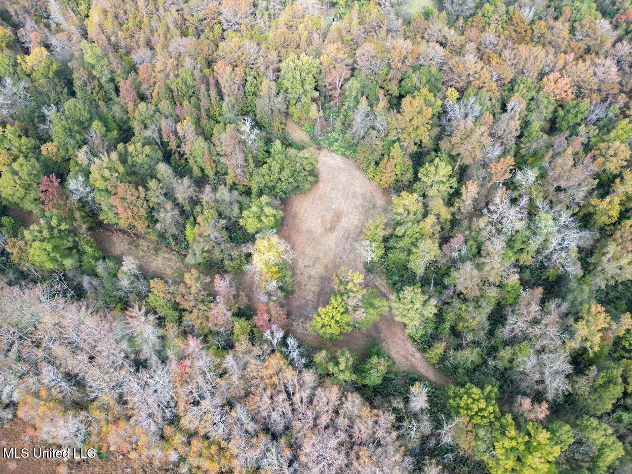 298 Crescent Rd Street Waterproof, LA 71375 - Photo 6 of 47 DJI_0825 Large