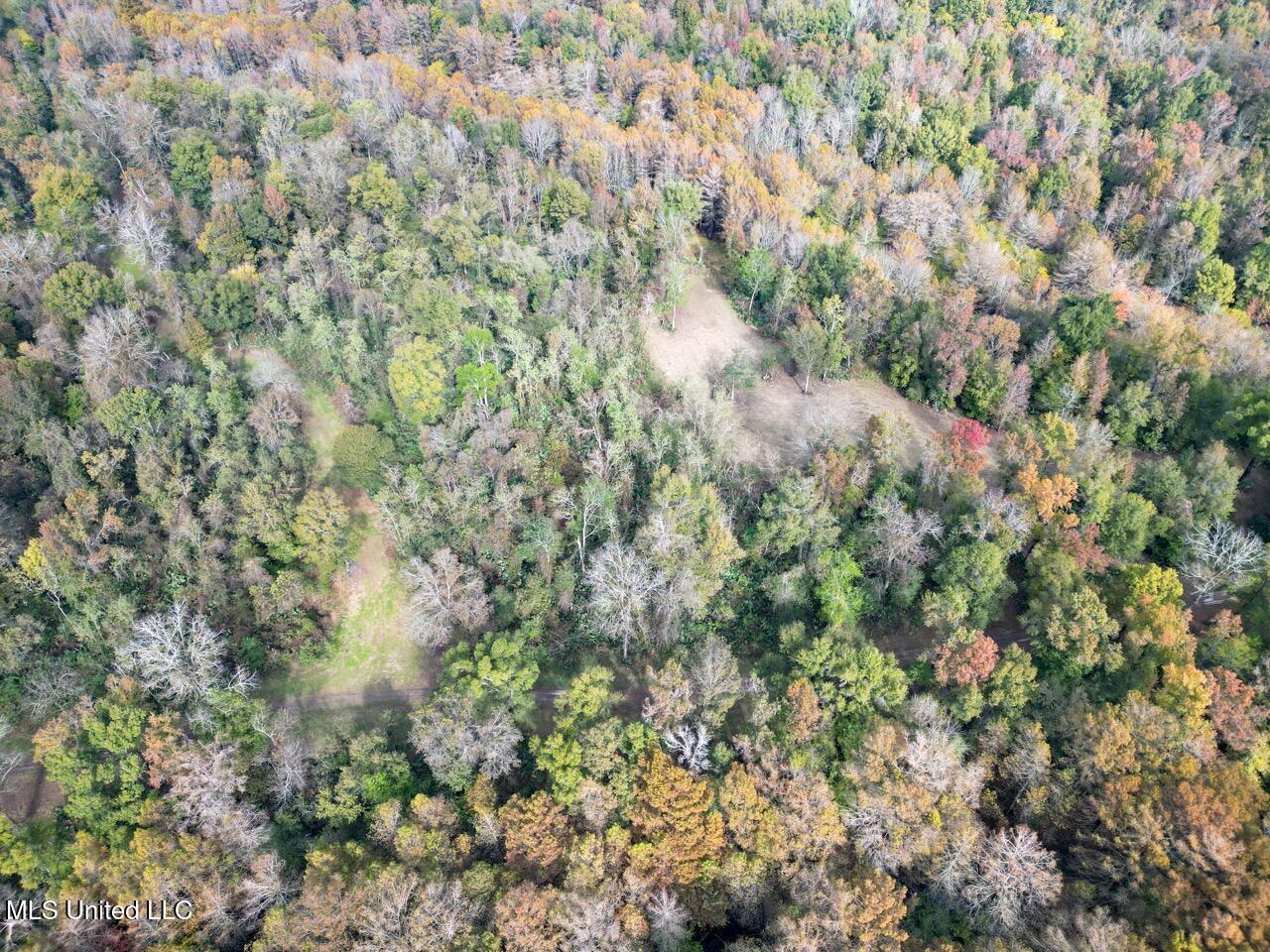 298 Crescent Rd Street Waterproof, LA 71375 - Photo 7 of 47 DJI_0827 2 Large