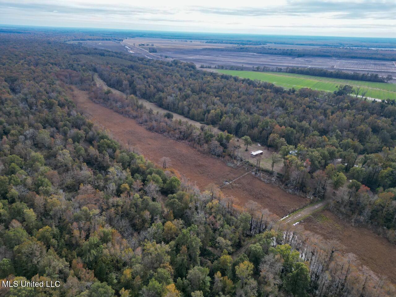 298 Crescent Rd Street Waterproof, LA 71375 - Photo 8 of 47 DJI_0828 Large