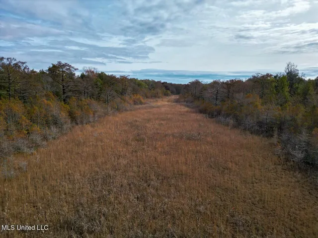 $2,990,000 | 298 Crescent Rd Street, Waterproof, LA 71375