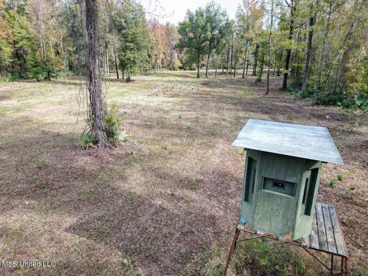 298 Crescent Rd Street Waterproof, LA 71375 - Photo 10 of 47 DJI_0842 Large