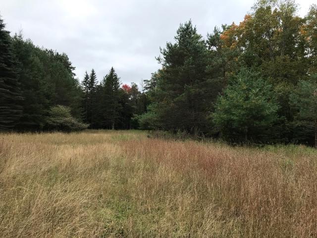 No Fire # No Fire Road Stephenson, MI 49887 - Photo 1 of 1 file-168 (1)