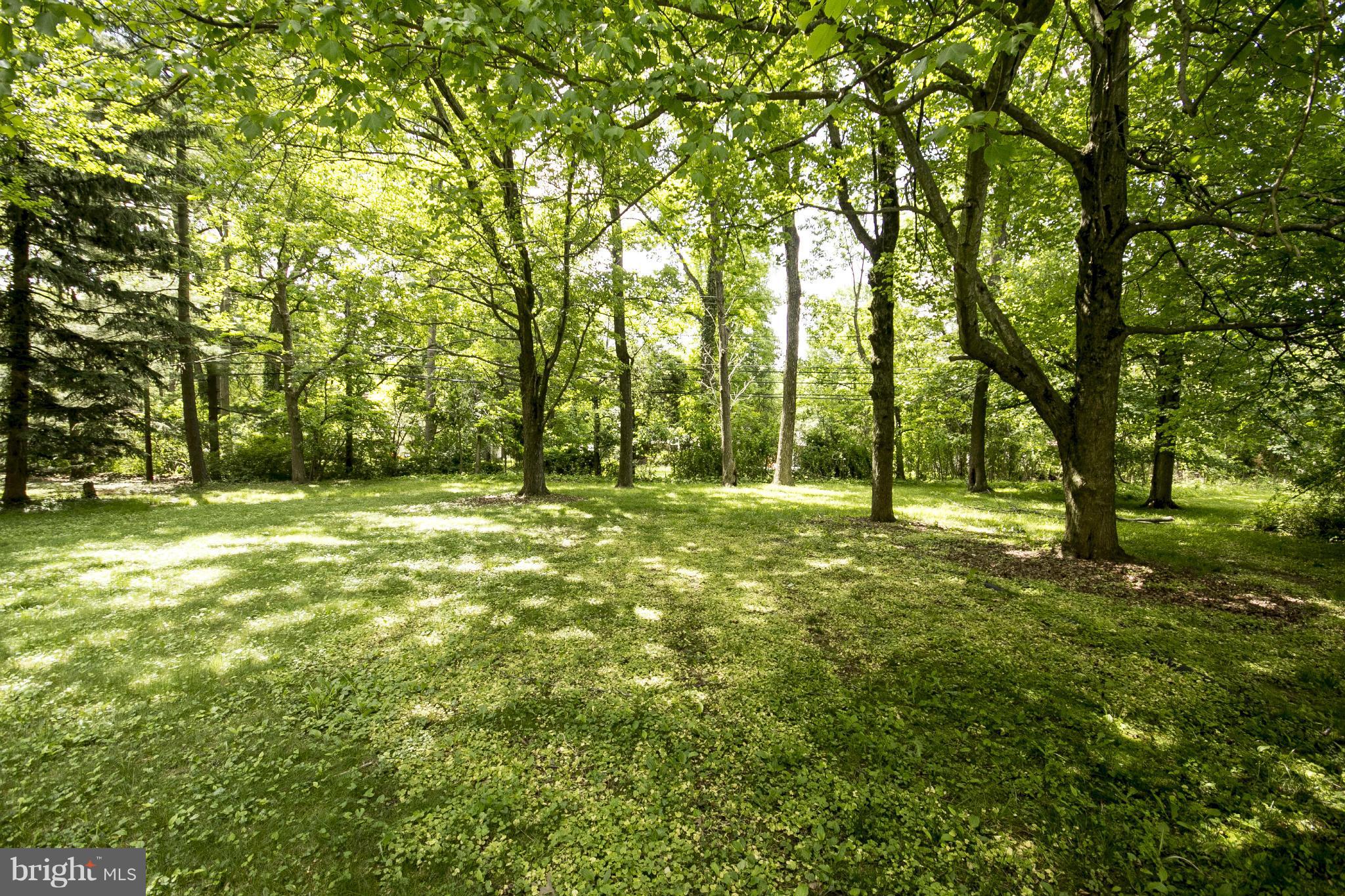 4113 Raleigh Road Baltimore, MD 21207 - Photo 21 of 23 a backyard of a house with lots of green space