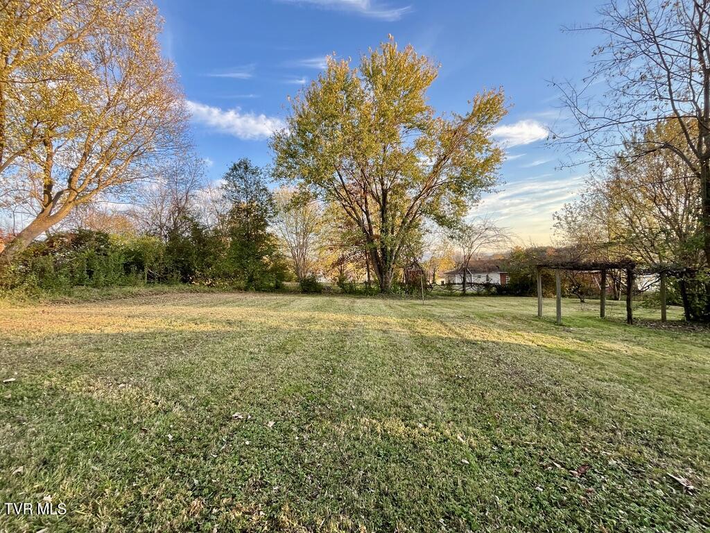 126 Pearl Street Greeneville, TN 37743 - Photo 22 of 23 20