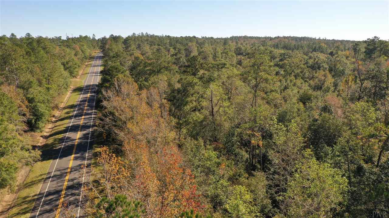 1 Morristown Road Jay, FL 32565 - Photo 1 of 8 Morritown Rd Facing East