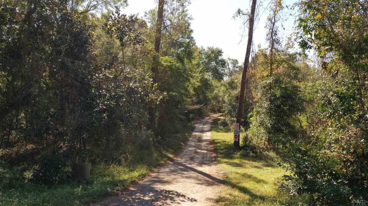 1 Morristown Road Jay, FL 32565 - Photo 6 of 8