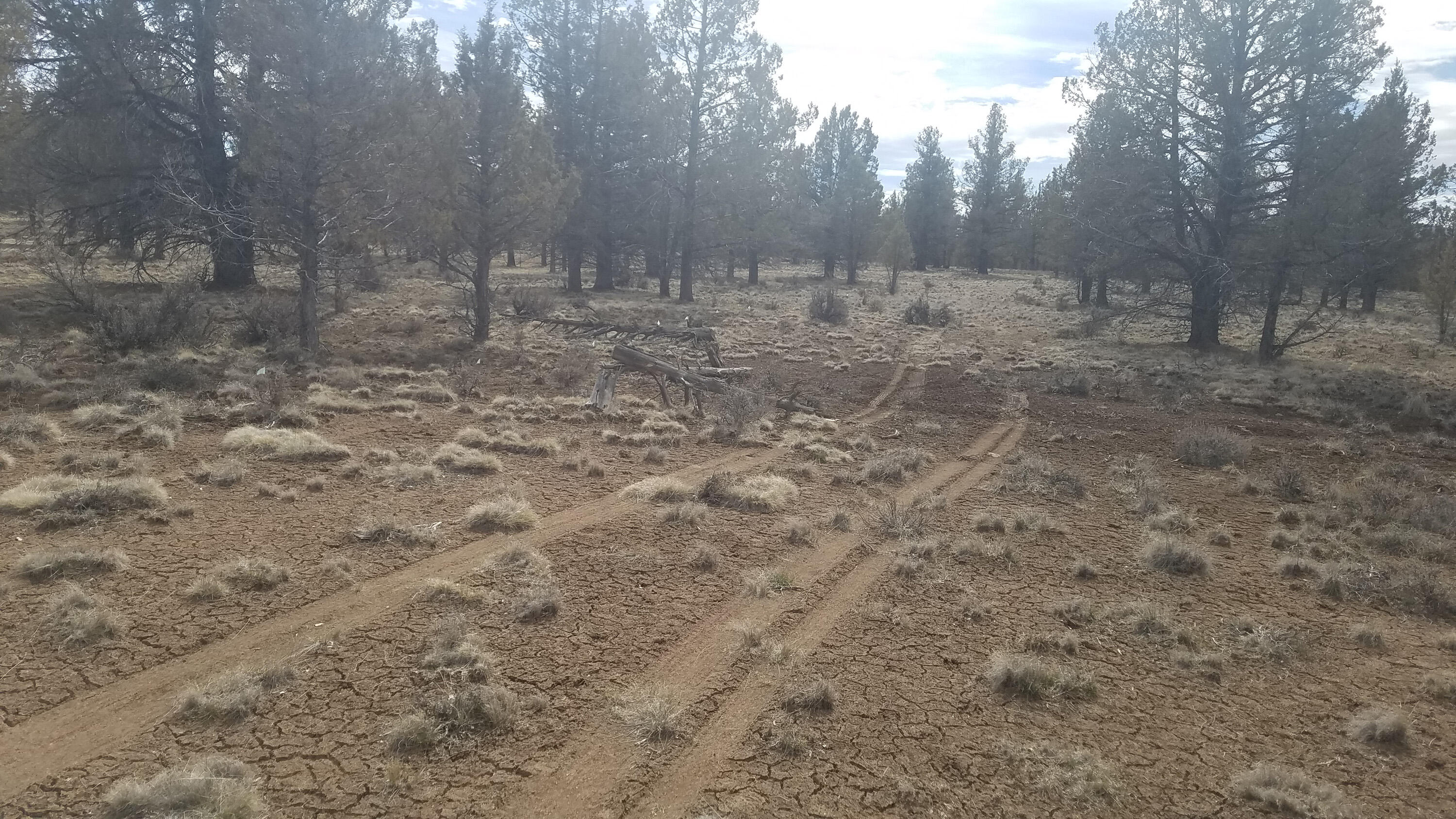 16511 Fishhole Creek Road Bly, OR 97622 - Photo 82 of 94 00107