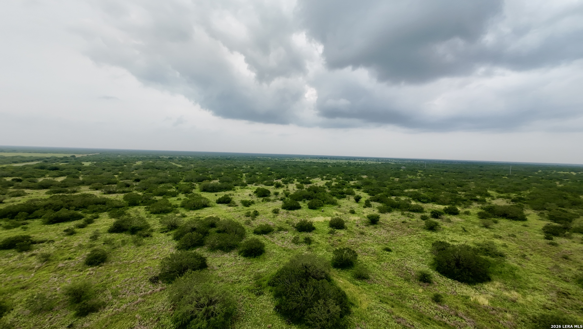 0 Farm To Market Rd 3249 Realitos, TX 78376 - Photo 3 of 14