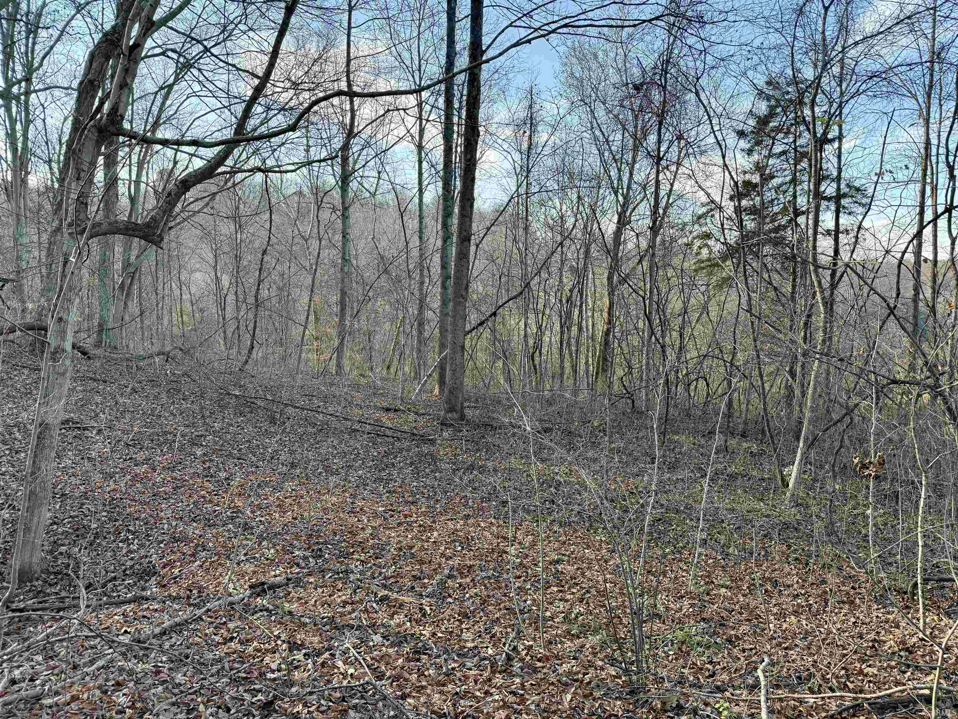 State Rd State Road Bedford, IN 47421 - Photo 11 of 16