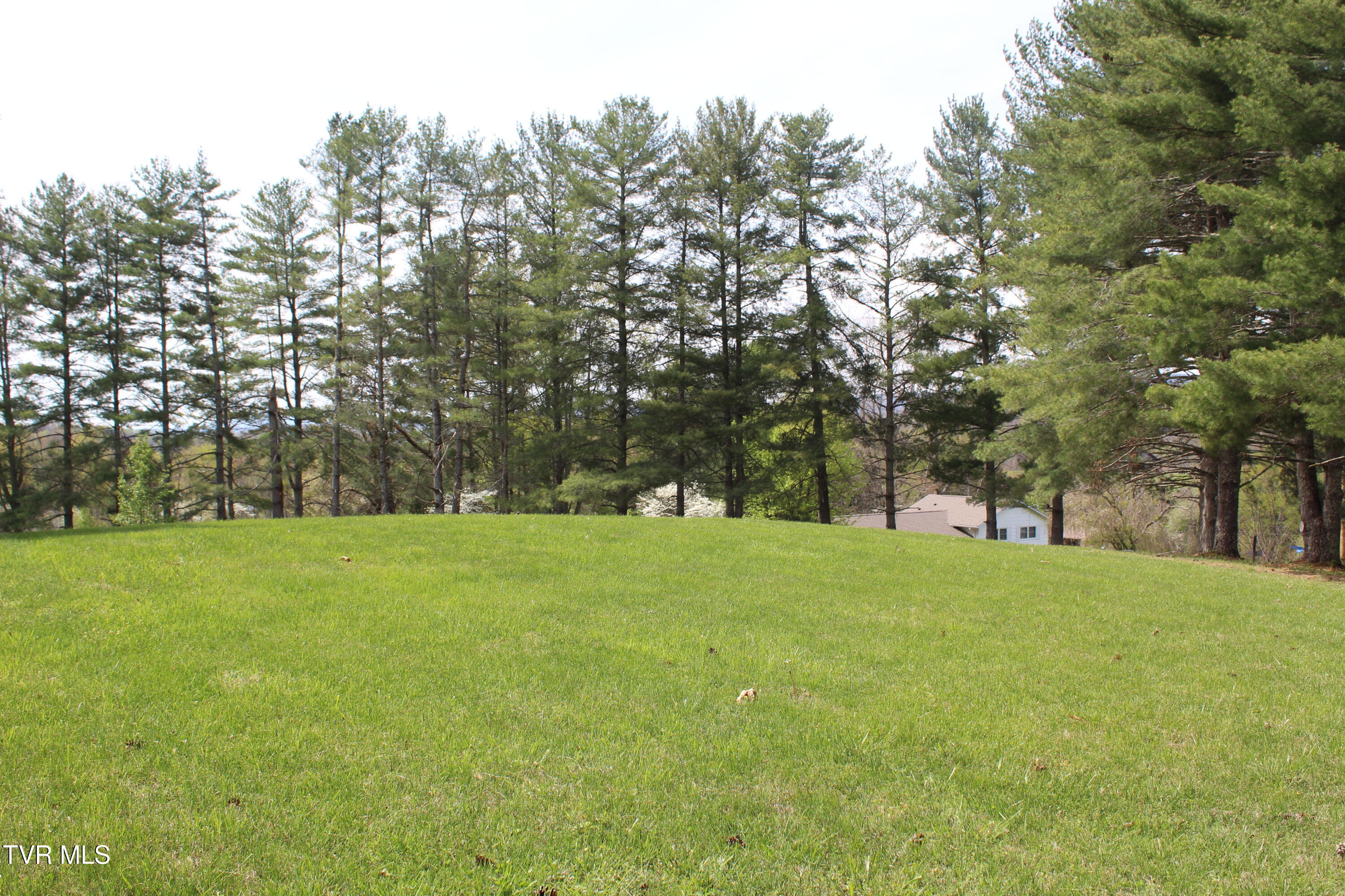 175 Fincastle Heights Road Jonesville, VA 24263 - Photo 3 of 42 IMG_6655