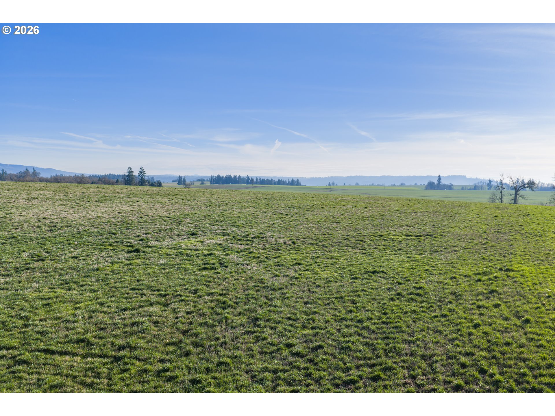 39986 Gisler Road Scio, OR 97374 - Photo 34 of 37 Gallery Image 34