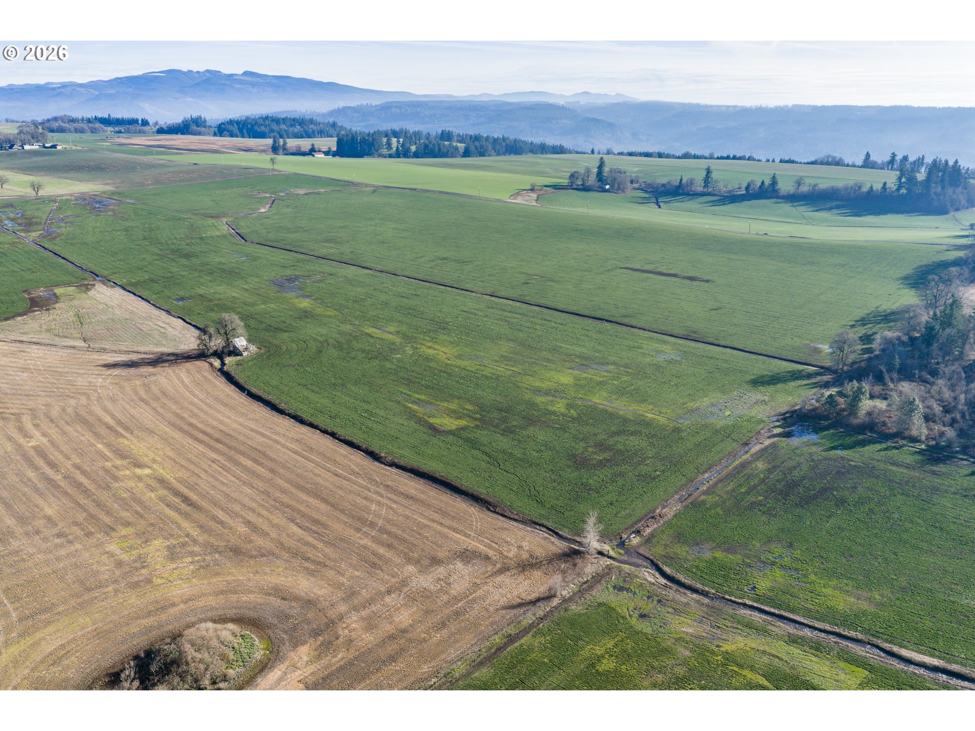 39986 Gisler Road Scio, OR 97374 - Photo 10 of 37 Gallery Image 10