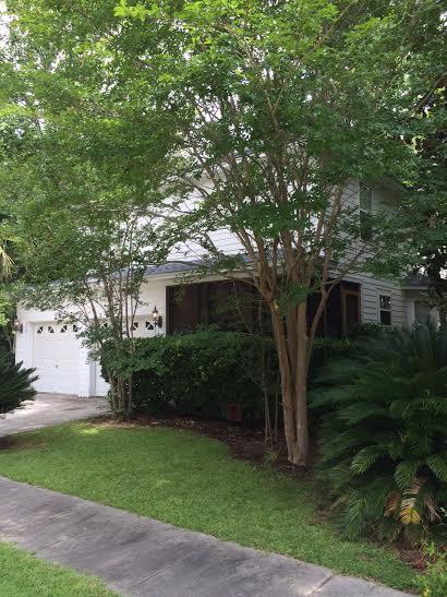650 Fair Spring Drive Charleston, SC 29414 - Photo 36 of 38 pic6