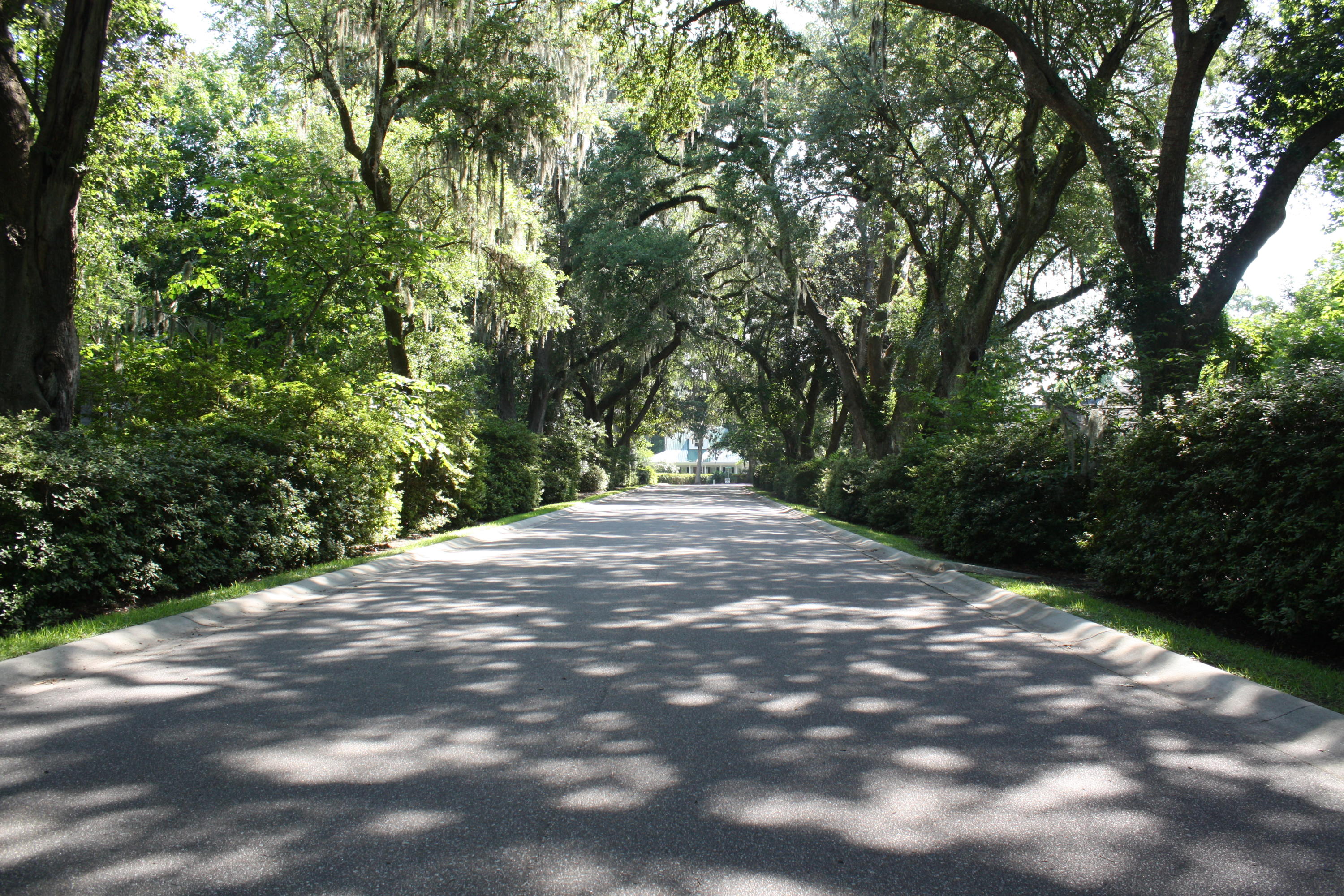 650 Fair Spring Drive Charleston, SC 29414 - Photo 37 of 38 IMG_7397