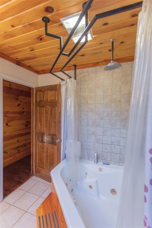 604 North Fork Road Amherst, VA 24521 - Photo 24 of 50 a bathroom with a bathtub and shower