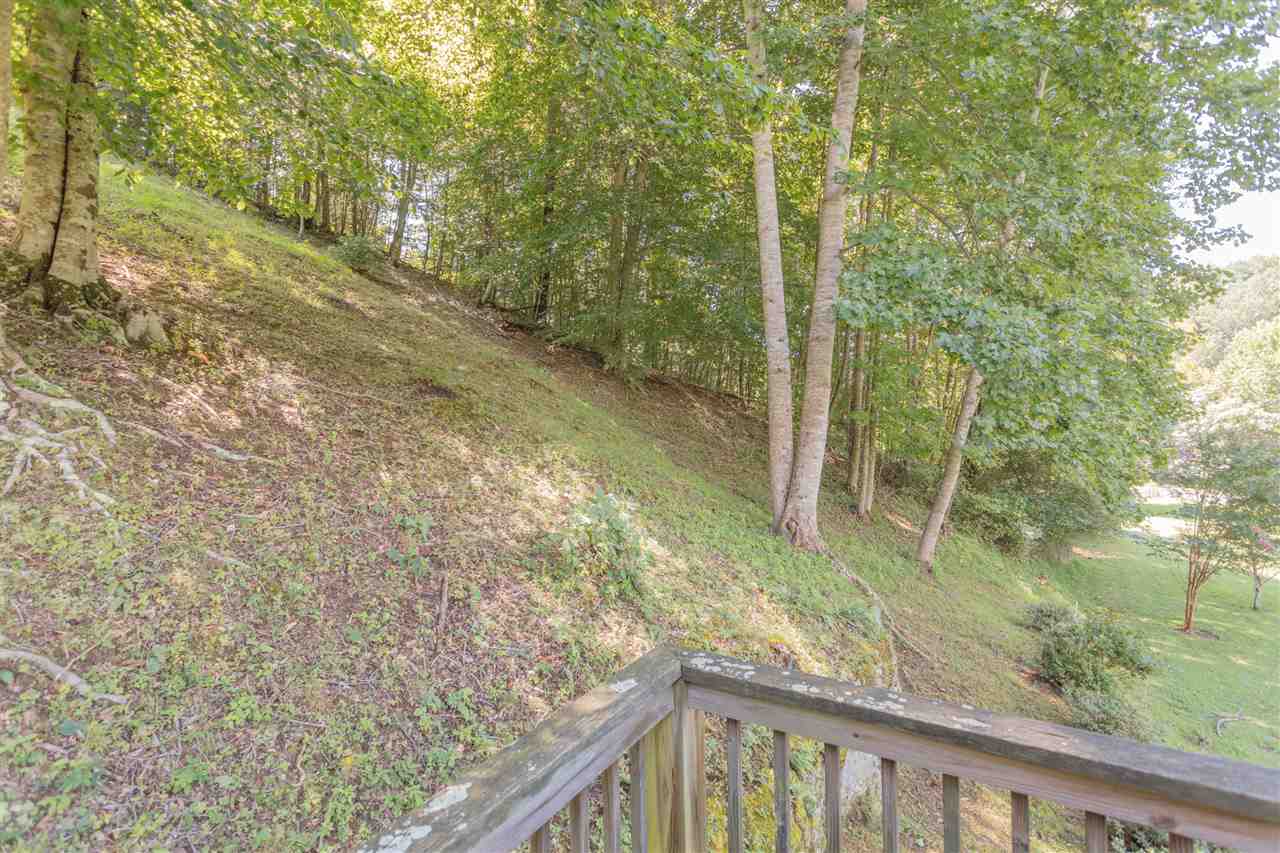 604 North Fork Road Amherst, VA 24521 - Photo 33 of 50 a view of a forest from a balcony