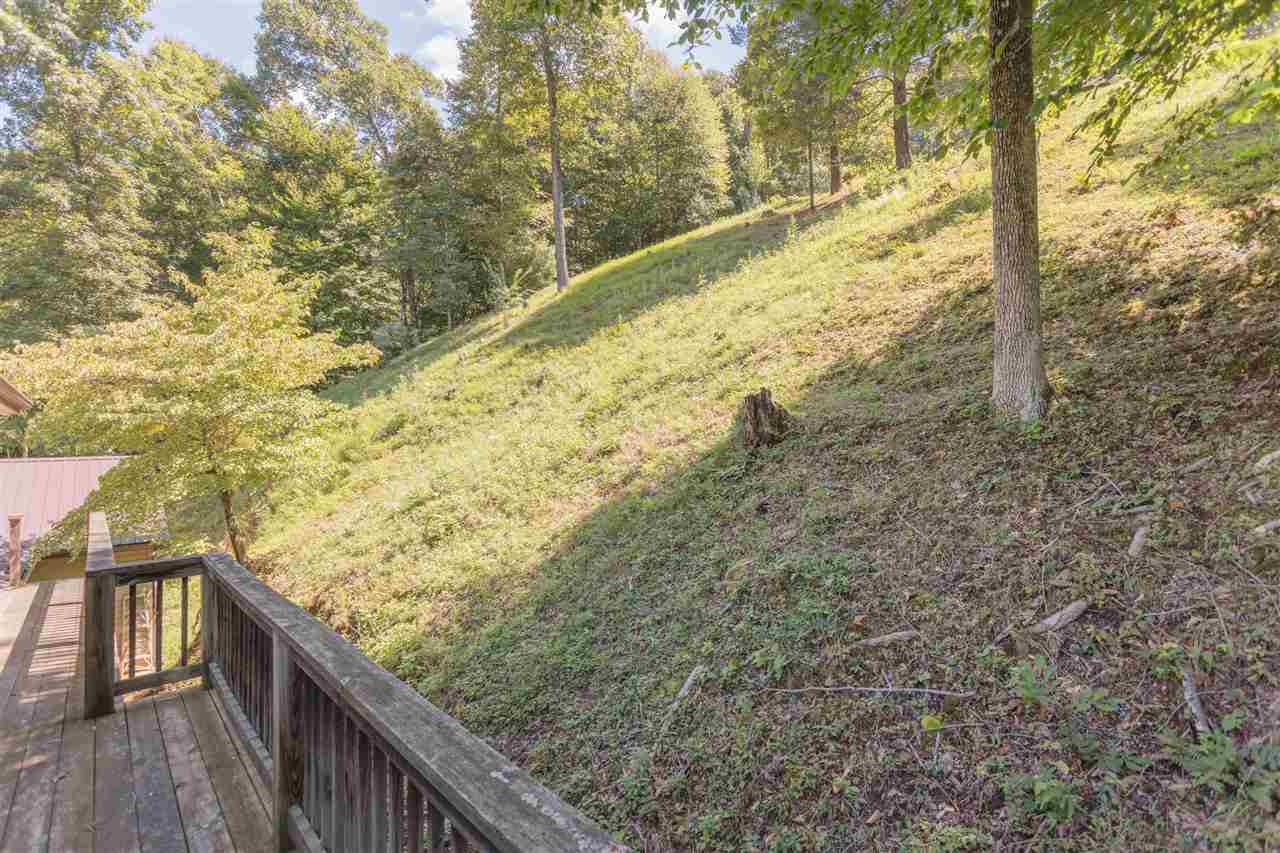 604 North Fork Road Amherst, VA 24521 - Photo 34 of 50 a view of a forest from a balcony