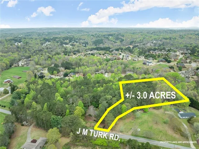 a view of a garden with a plants