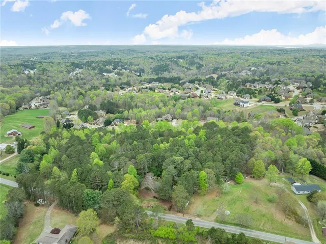 a view of a park with large trees