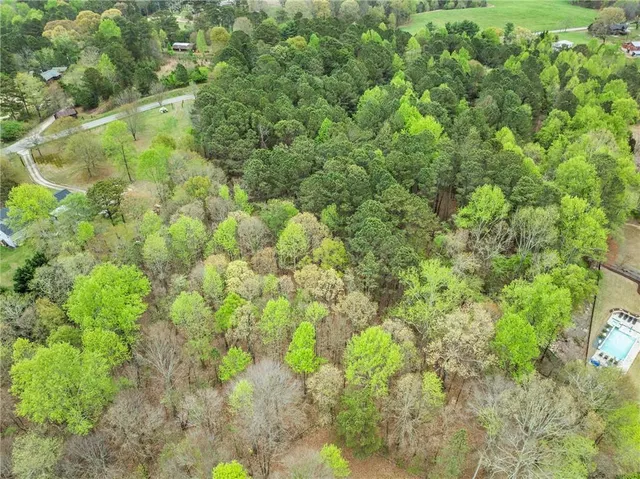 a view of backyard with tree