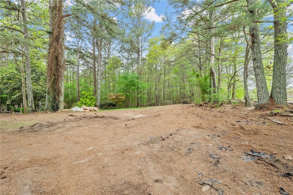 4580 J M Turk Road Flowery Branch, GA 30542 - Photo 7 of 7 a view of backyard with tree