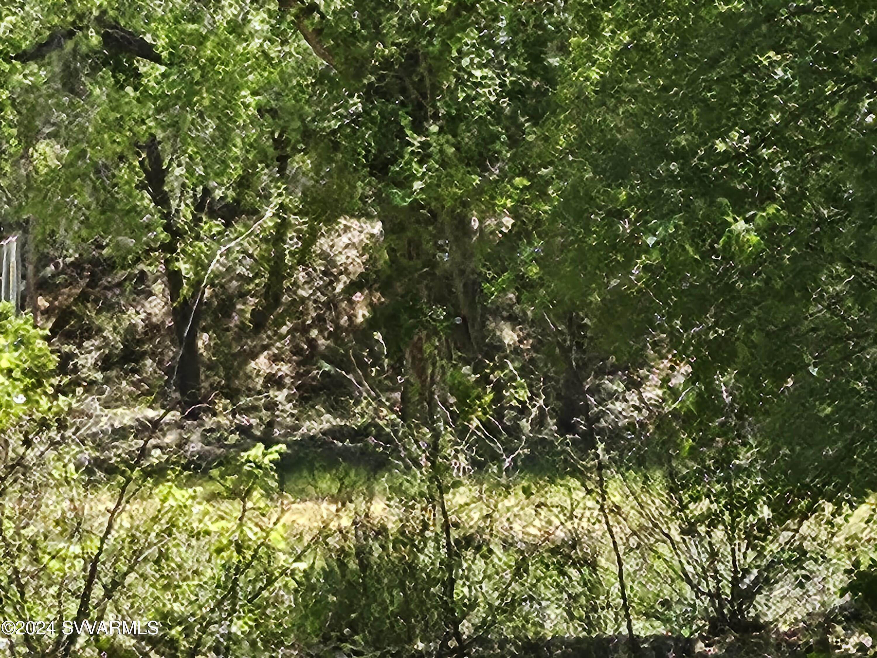 4035 East Sycamore Lane Rimrock, AZ 86335 - Photo 1 of 3 a view of a tree