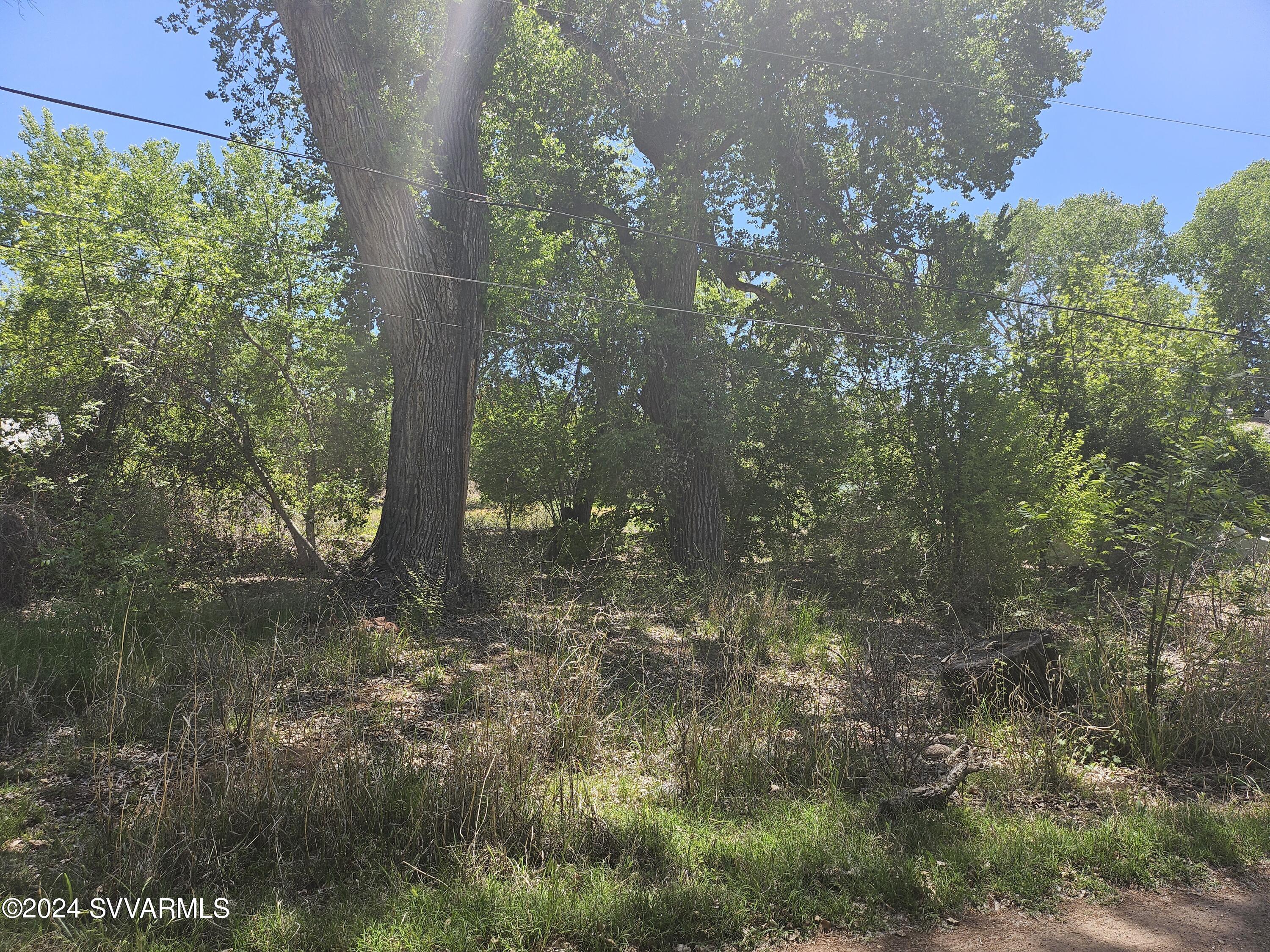 4035 East Sycamore Lane Rimrock, AZ 86335 - Photo 2 of 3 a view of a forest