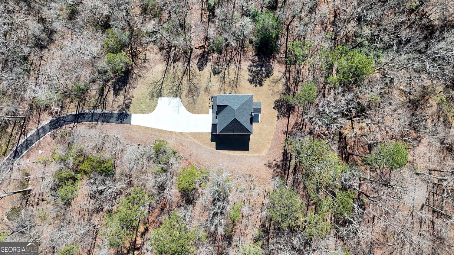 1578 English Road Forsyth, GA 31029 - Photo 5 of 40 a view of statue in forest