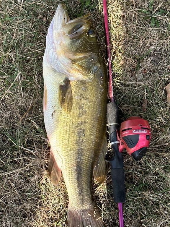 16678 Evans Road Basehor, KS 66007 - Photo 57 of 77