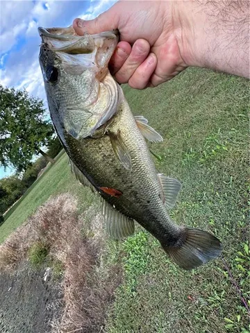 $1,400,000 | 16678 Evans Road, Basehor, KS 66007