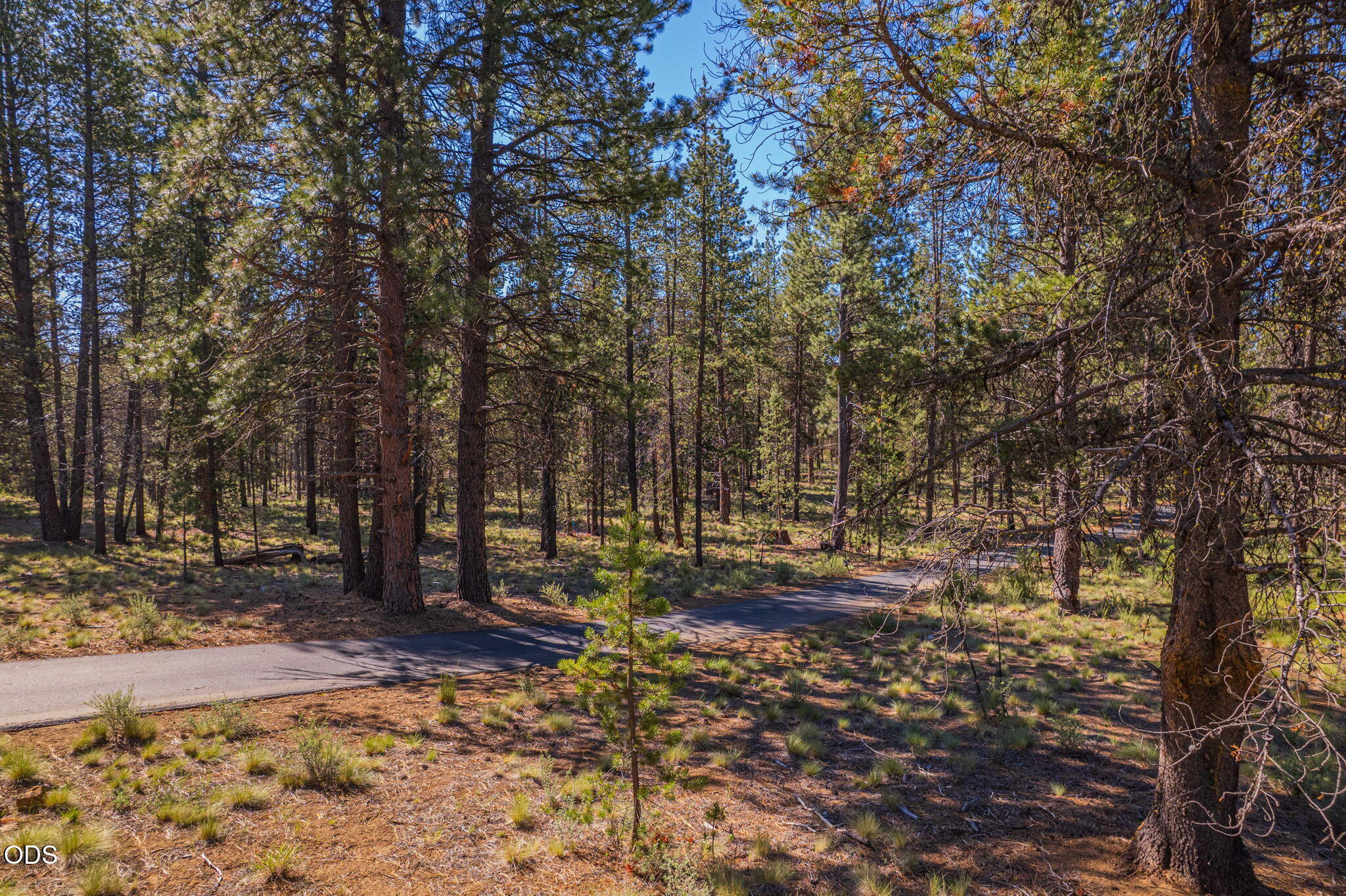 56319 Mirror Rock Loop Bend, Unit 337 Bend, OR 97707 - Photo 4 of 18