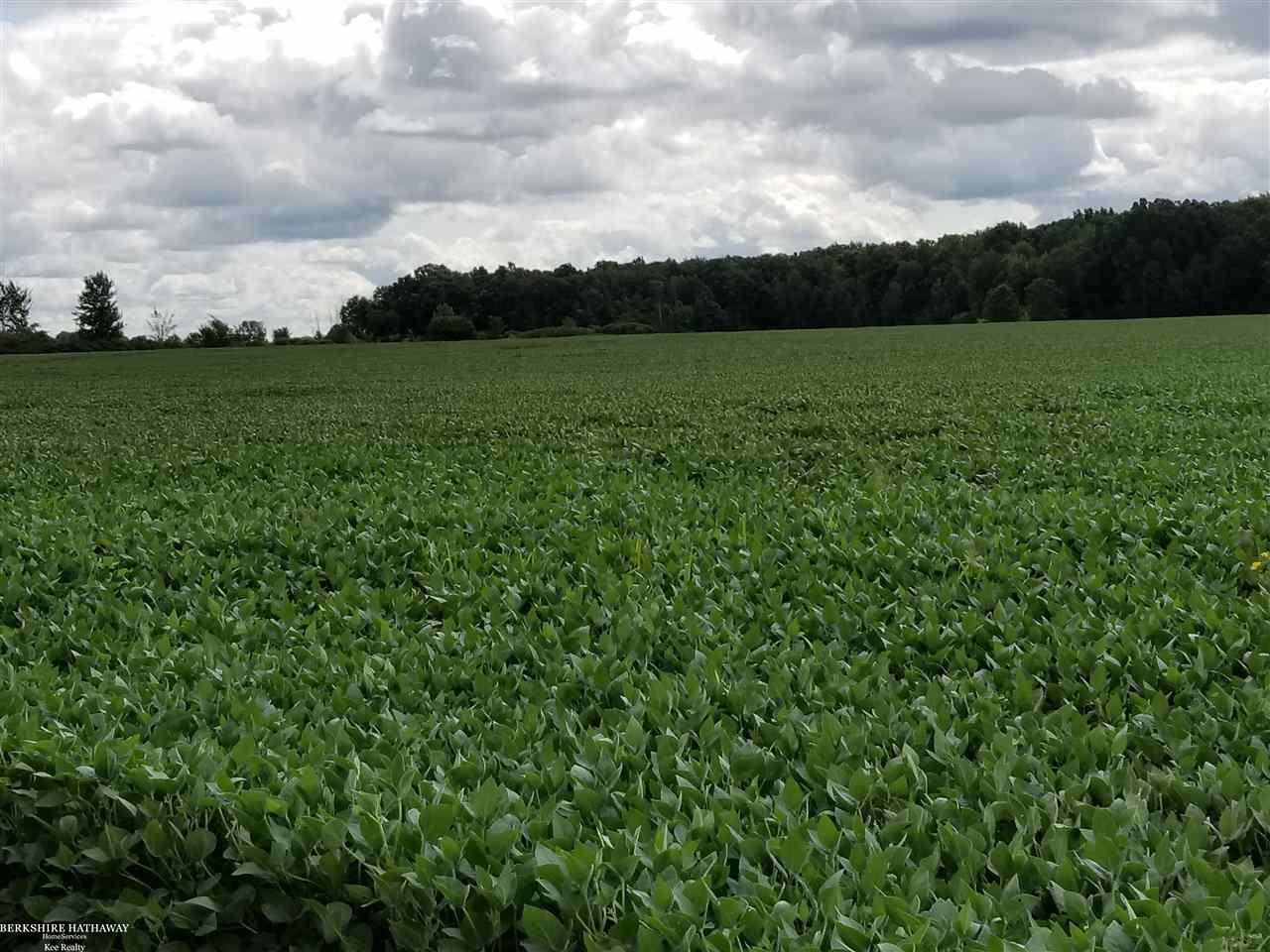 0 Sharrard Road Allenton, MI 48002 - Photo 6 of 8